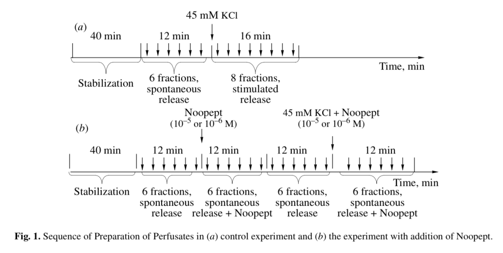 Sequence of Preparation of Perfusates in (a) control experiment and (b) the experiment with addition of Noopept.