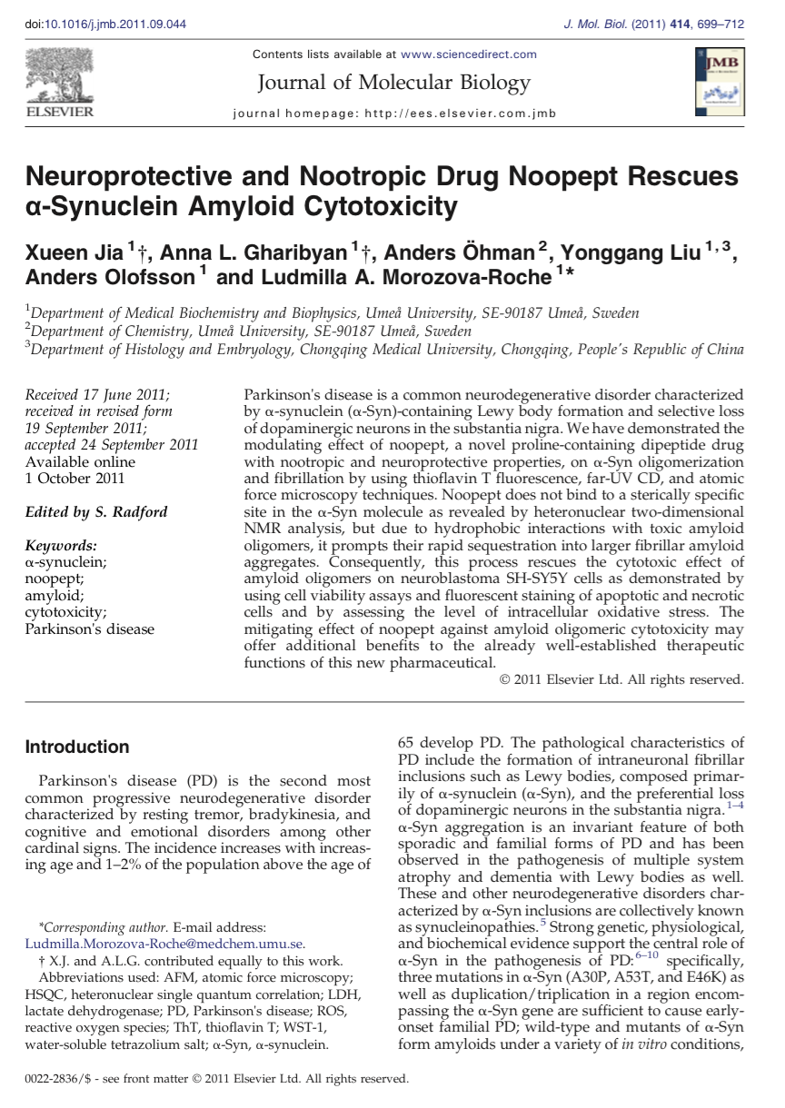 Neuroprotective and nootropic drug noopept rescues a-synuclein amyloid cytotoxicity