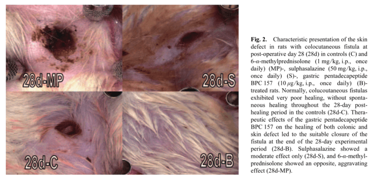 bpc patented diagen stable nootroo